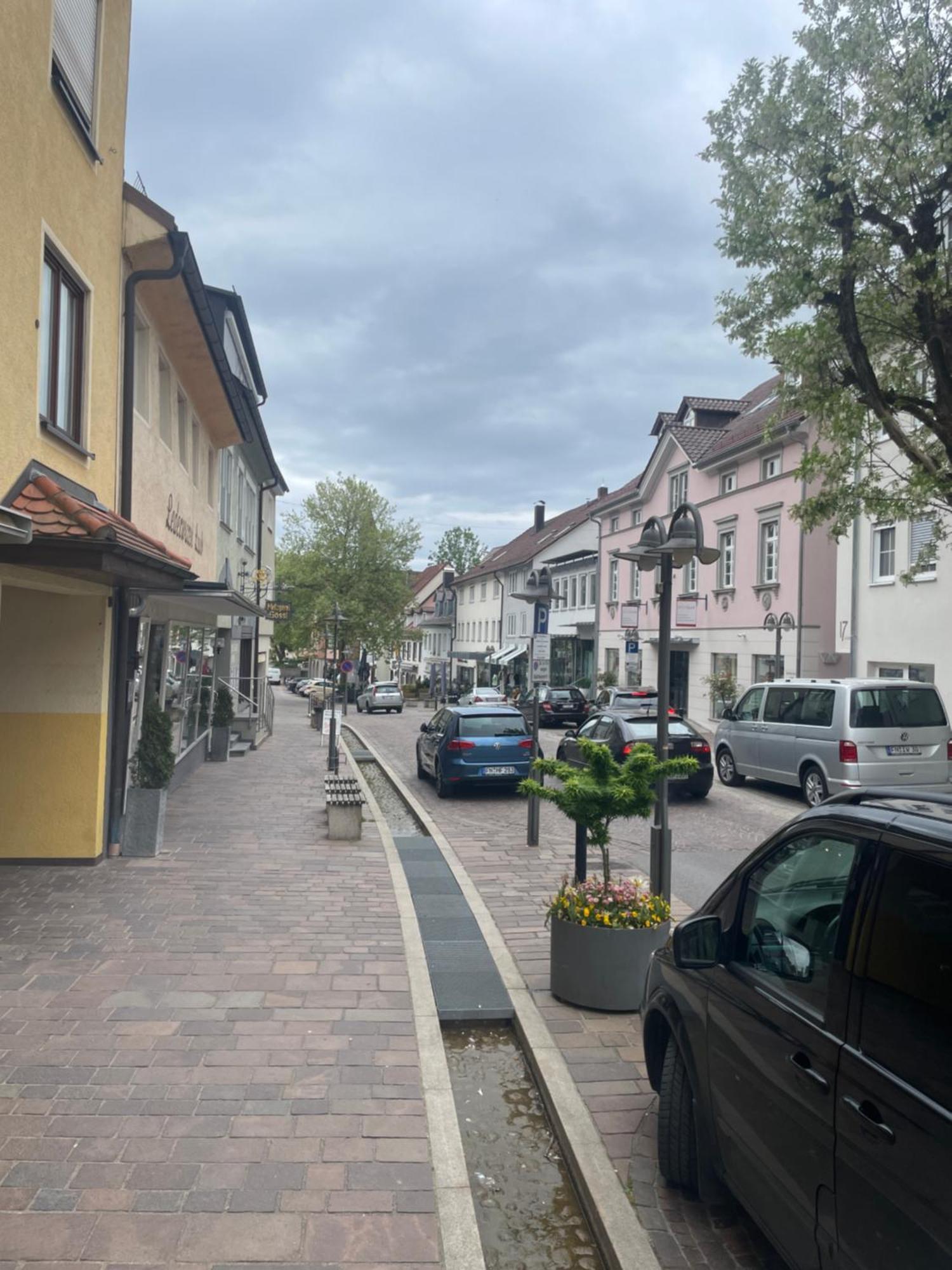 Golden Poodle Luxusappartment Am Neuen Schloss Tettang Tettnang Εξωτερικό φωτογραφία